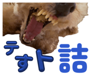 853779415