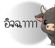 853781560