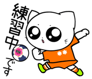 853783629
