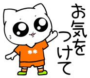 853783654