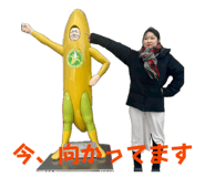 853784367