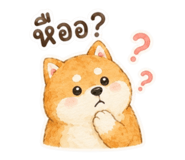 853784430