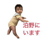 853794429