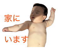 853794431