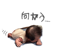853794462