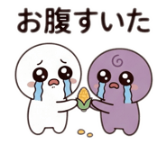 853804506