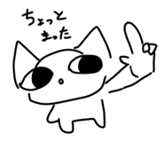 853805241