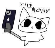 853805246