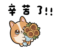 853805914