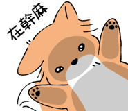 853807057