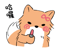 853807070
