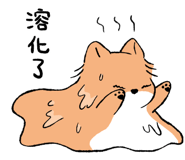 853807094