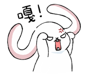 853807255