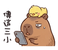 853807401