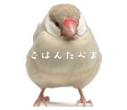 853810377