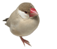 853810378