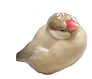 853810380