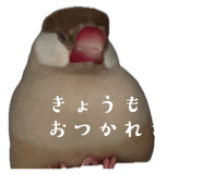853810381