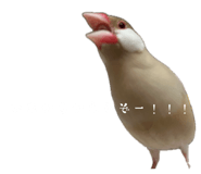 853810383