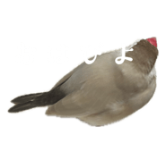 853810384
