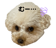 853810860