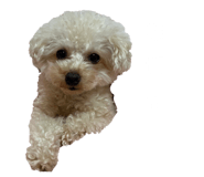 853810865
