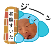 853811127