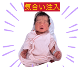 853811142