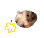 853812665