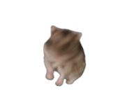 853812669