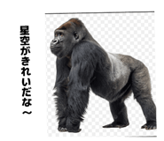 853813123