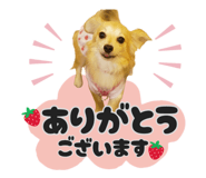 853814054