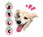 853814056