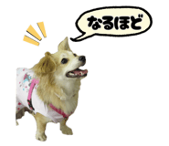853814066