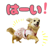 853814069