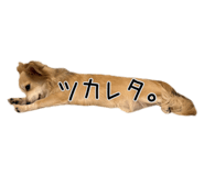 853814075