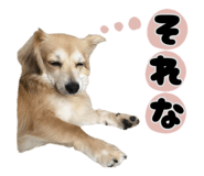 853814076