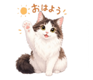 853887569