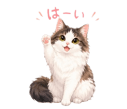 853887576
