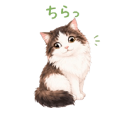 853887588