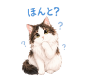 853887601