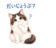 853887605