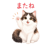 853887606