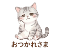 853887698