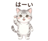 853887704