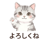 853887705