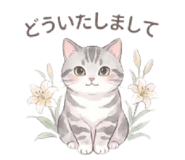 853887706