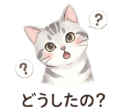 853887709