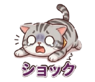 853888344