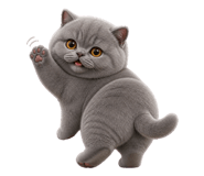 853889922